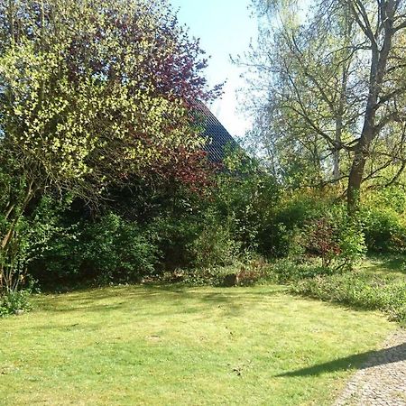 Sonniges Haeuschen Mit Garten Braunschweig Buitenkant foto