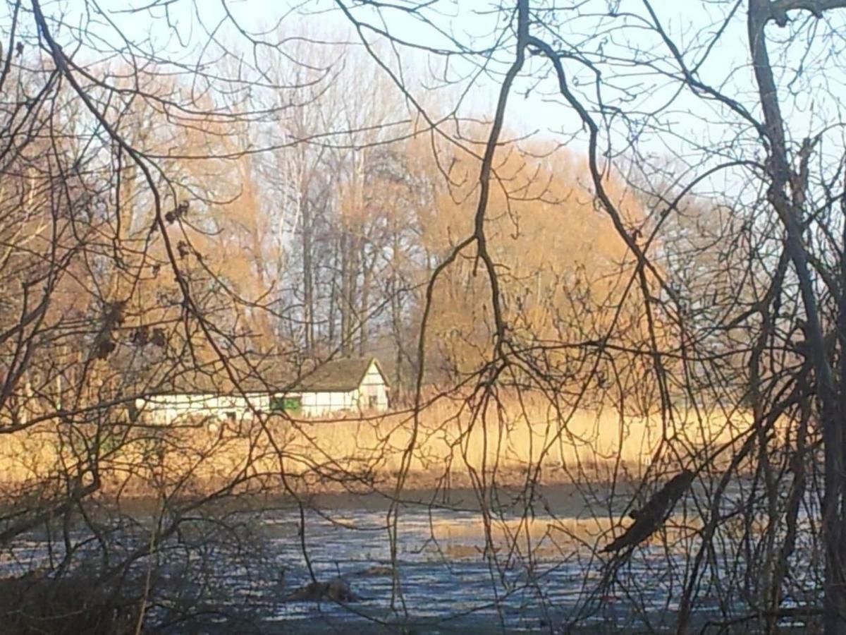 Sonniges Haeuschen Mit Garten Braunschweig Buitenkant foto