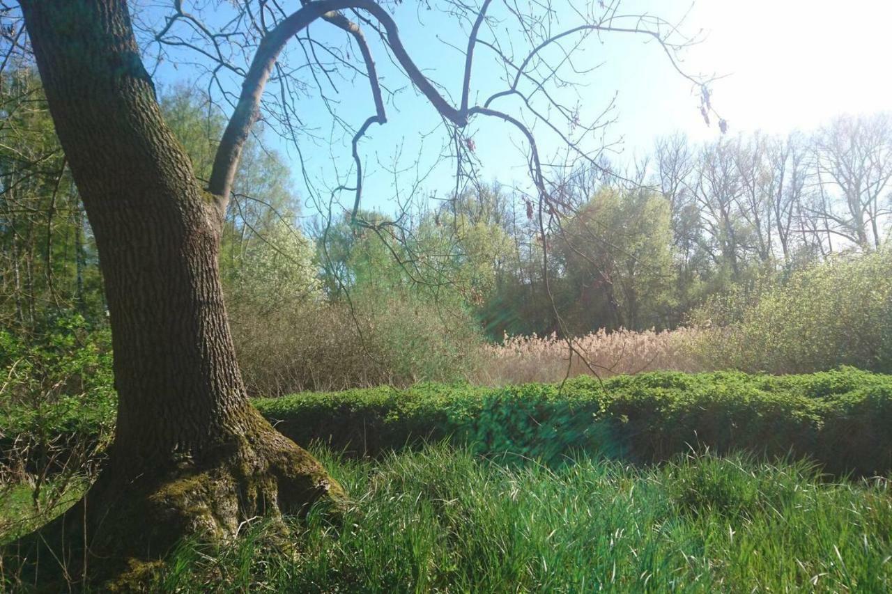 Sonniges Haeuschen Mit Garten Braunschweig Buitenkant foto