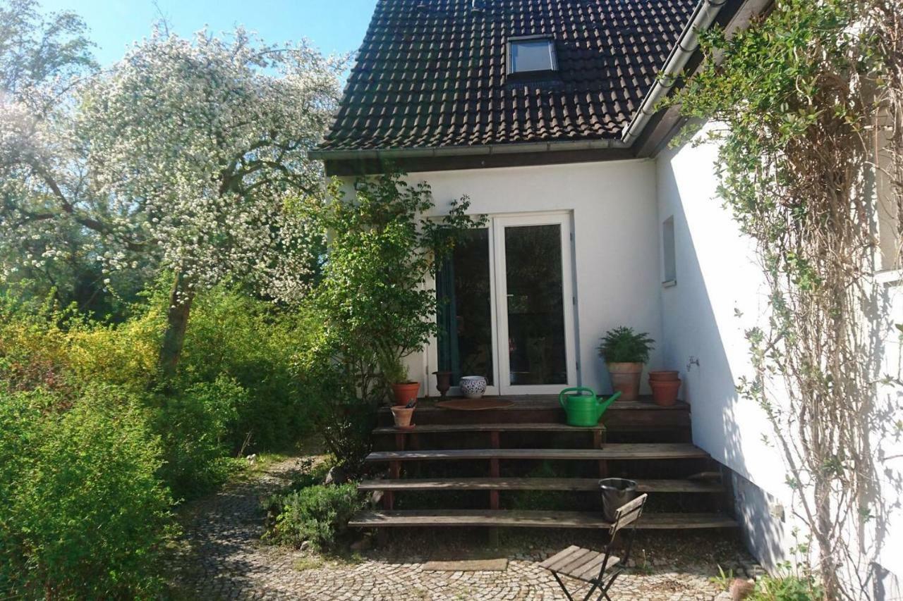 Sonniges Haeuschen Mit Garten Braunschweig Buitenkant foto